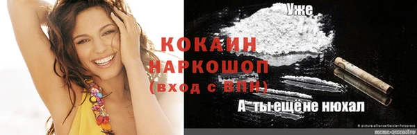 стафф Алексин