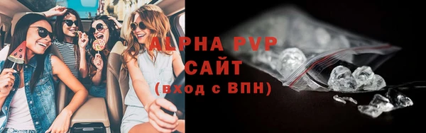 стафф Алексин