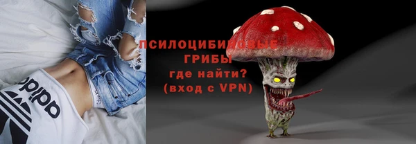 СК Алзамай
