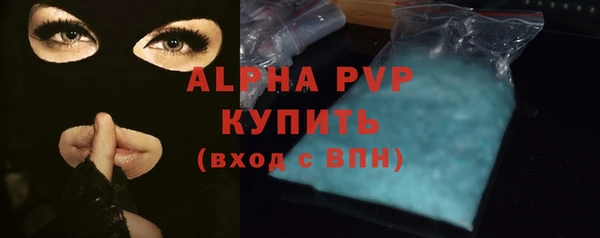 стафф Алексин