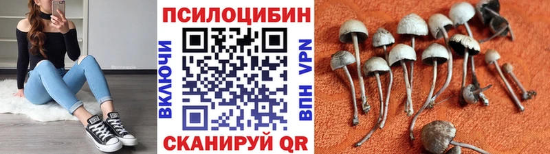 ОМГ ОМГ как войти  Грязи  Галлюциногенные грибы Cubensis  даркнет сайт 